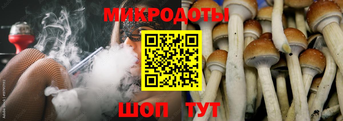Купить закладку  МЕТАМФЕТАМИН  ГАШИШ  Советск  Меф МЯУ МЯУ кристаллы  Вход с VPN  Экстази  Cocaine  APVP СК кристаллы 